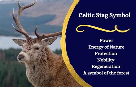 The Spiritual Significance of the Pagan Stag Symbol